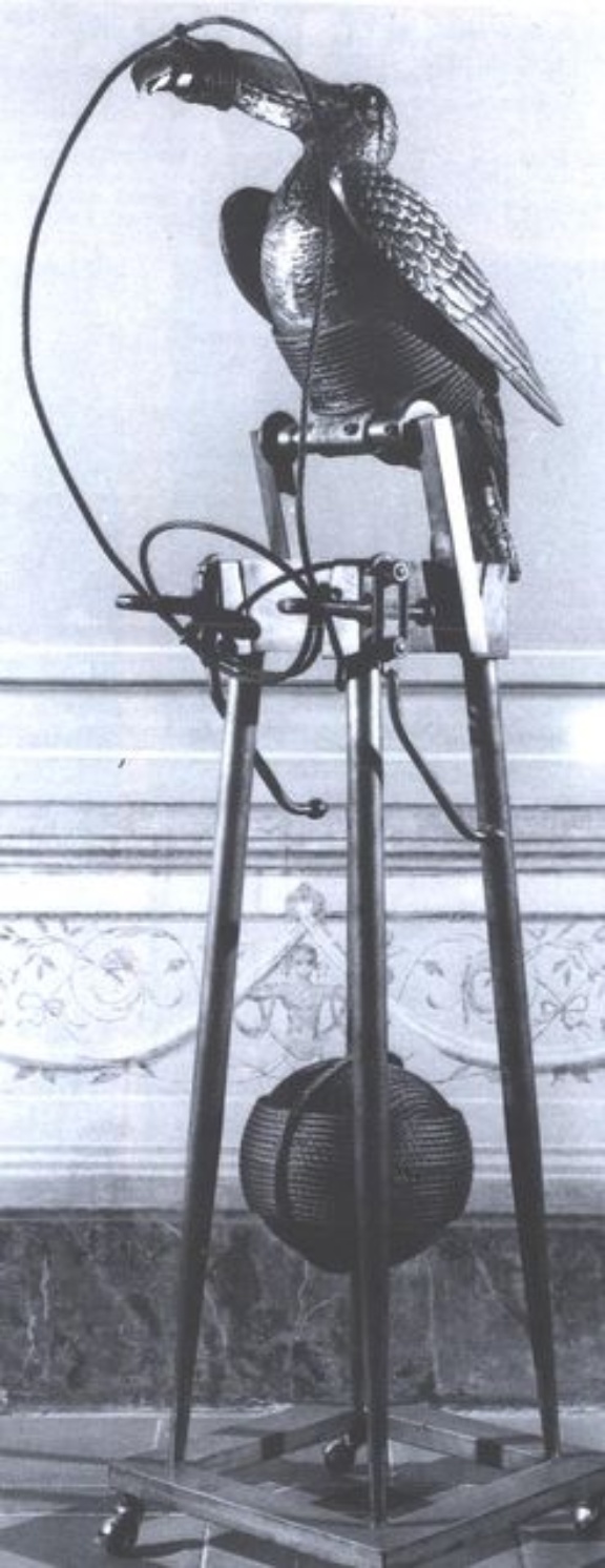 V. Trubbiani - Tucano chiudere il becco V. Trubbiani - Tucano chiudere il becco