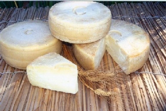 Pecorino Pecorino