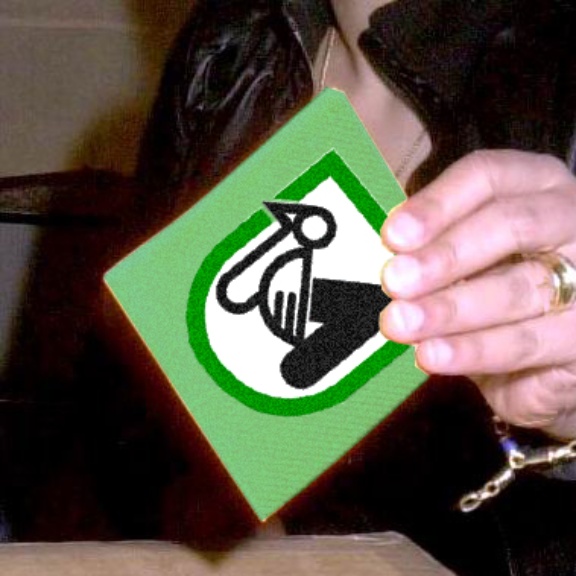 Elezioni regionali Elezioni regionali