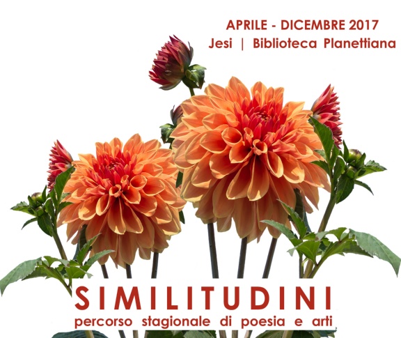 Similitudini Similitudini