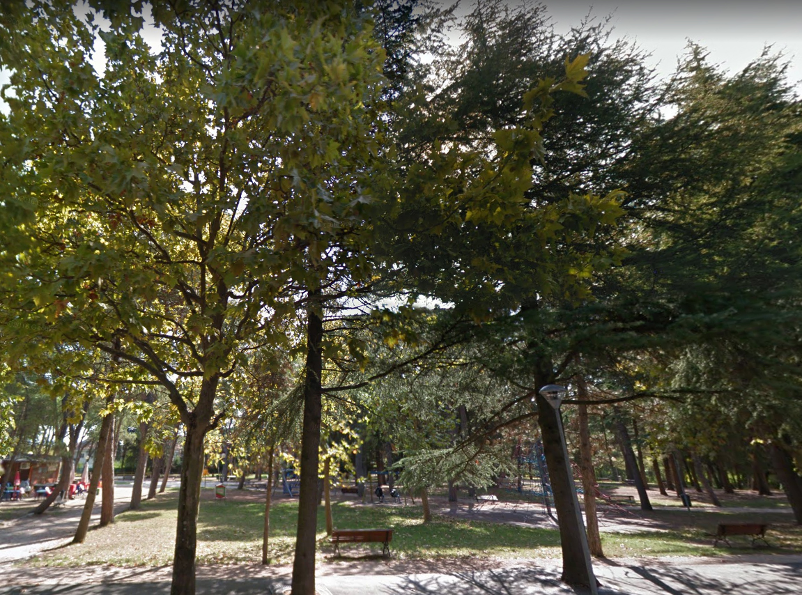 Alberi ai giardini pubblici