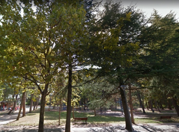 Alberi ai giardini pubblici Alberi ai giardini pubblici