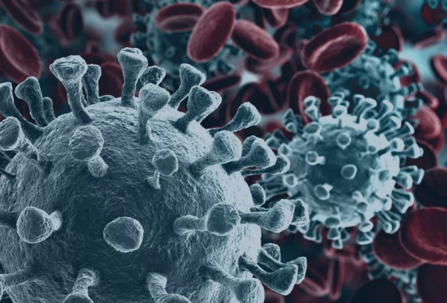 Coronavirus1