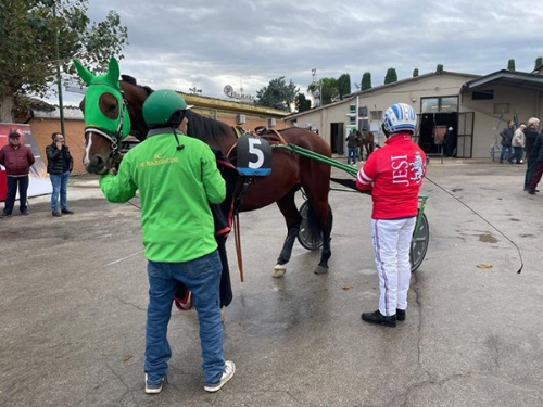 Carlomagno d’Esi Carlomagno d’Esi