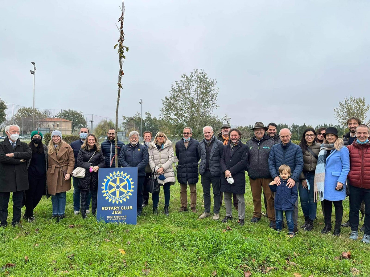 Il circolo Rotary di Jesi durante la piantumazione di un albero