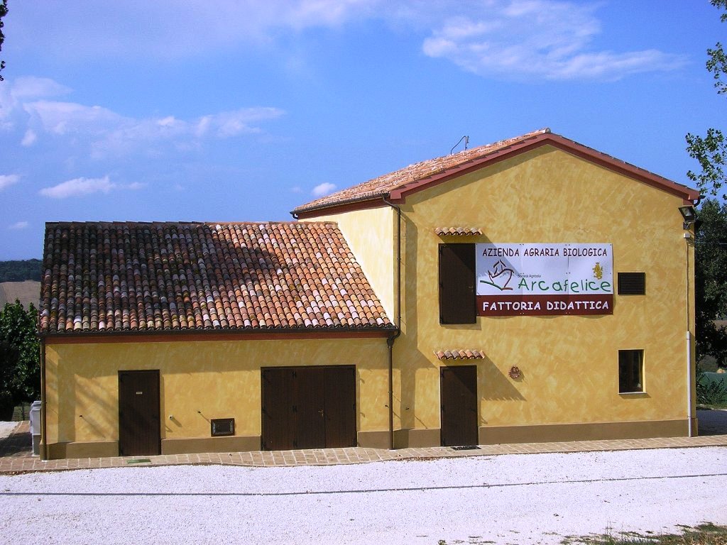 Sede Arcafelice