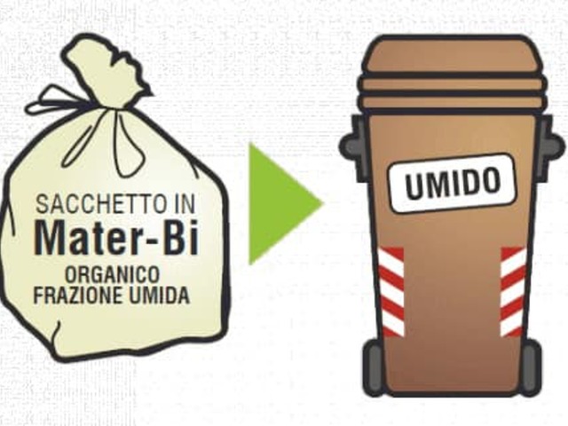 Umido